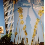 Double Exposure Palm Trees Los Angeles Holga